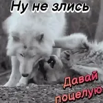 My Pack 7