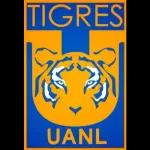 tigres 