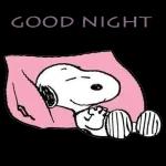 Gute Nacht!💤