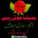 آپ کی یاد آرہی تھی