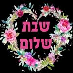 שבת שלום