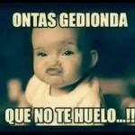 Podrías dejar de ser burro por solo cinco minutos?!