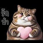 แมวถังแกสอ้วนตุ้บ 03