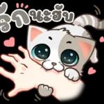 น้องมิน คาบรักมาฝาก