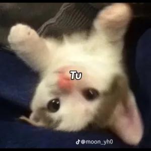 gji2Kk