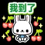 小兔子3D貼紙：超实用