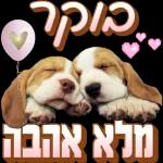 שלישי