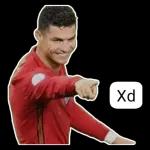 Bicho 