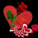Met Liefde Uit my Hart