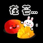 咖B和兔兔 ♡ 可愛實用日常