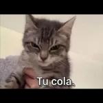 Un Abrazo asi de Grandote