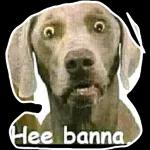 funny