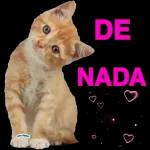 Lo siento...tu saldo es insuficiente para llamar mi atención!!