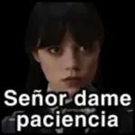 ¿Qué borraste? 