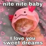 Marry meow? I love you