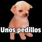 ya ni ...