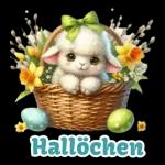 Ostern🤩🤩