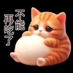 呆萌小橘猫