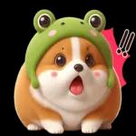 柯基蛙好可愛！