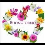buongiorno