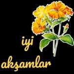 aynur