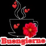  Buongiorno
