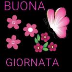 CIAO!