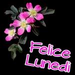 Buon lunedi