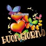buon giorno