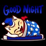 Notte Notte