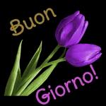  Buon
Giorno!

