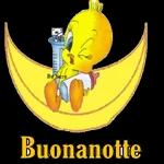  Buon
mercoledi
