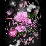  Buon
mercoledi
