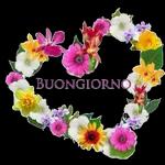 felice giornata 🤗