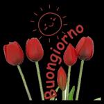 buona giornata