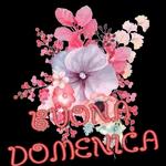 buona domenica