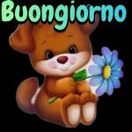  Buongiorno
