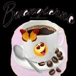  Buongiorno
