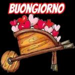 Buon giorno
