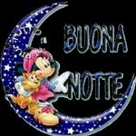 buona notte