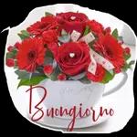 buongiorno bacioni 😚
