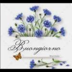  Buon
mercoledi
