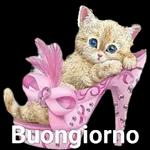  Buon
mercoledi
