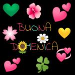 buona domenica