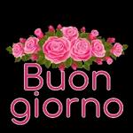  Buon
mercoledi
