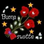  Buongiorno!!!
