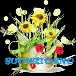 250916-IT-XYY-Buon2