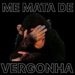 Liberado 