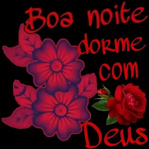 Boa noite dorme com Deus  - getsticker.com
