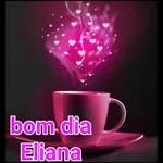 bom dia Eliana 